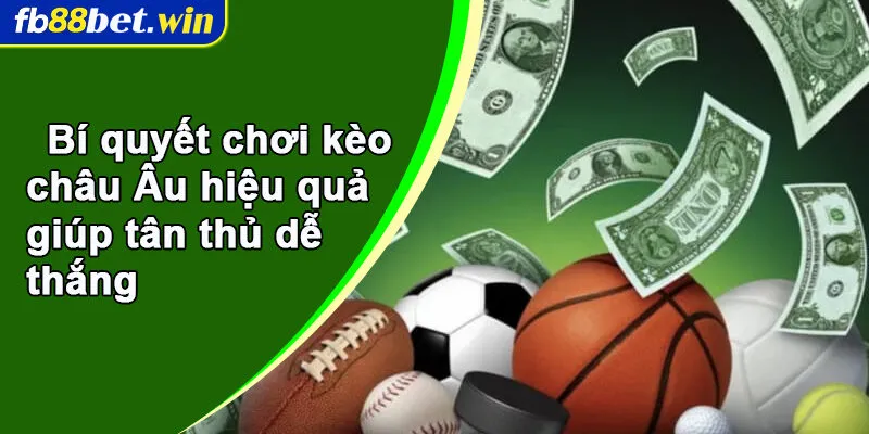 Bí quyết chơi kèo châu Âu hiệu quả giúp tân thủ dễ thắng