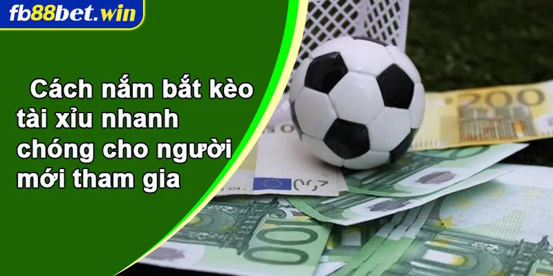 Cách nắm bắt kèo tài xỉu nhanh chóng cho người mới tham gia