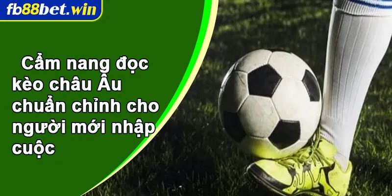 Cẩm nang đọc kèo châu Âu chuẩn chỉnh cho người mới nhập cuộc 
